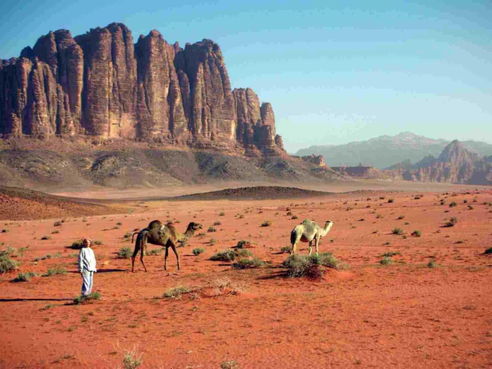 Wadi Rum Caeser Camp Hotell Exteriör bild