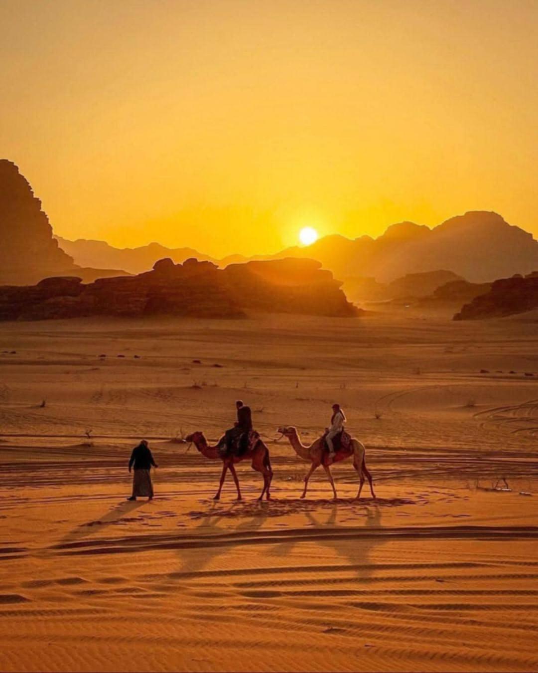 Wadi Rum Caeser Camp Hotell Exteriör bild
