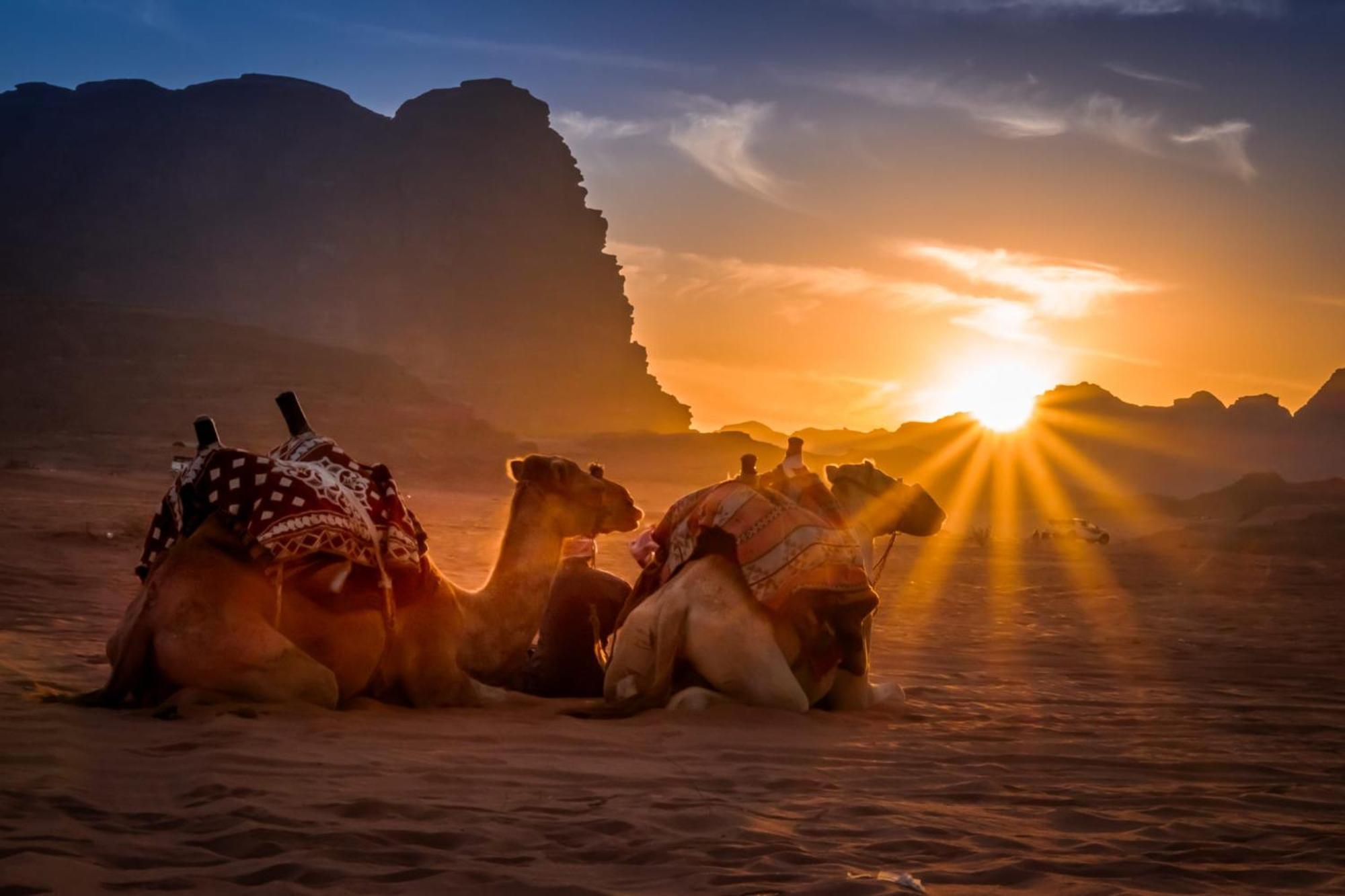 Wadi Rum Caeser Camp Hotell Exteriör bild